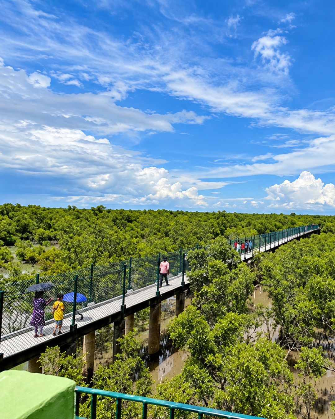 Dobanki Canopy Walk