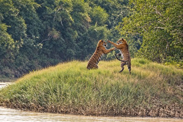 Sundarban travel gallery photo 1
