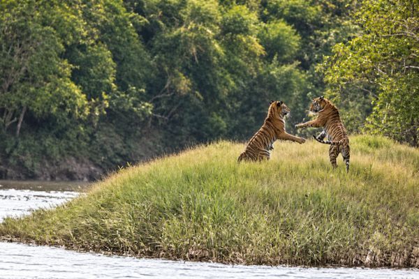 Sundarban travel gallery photo 2