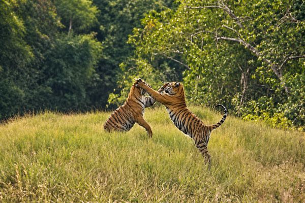 Sundarban travel gallery photo 5