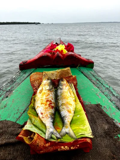 Sundarban 1 Day Package - Tour image 3