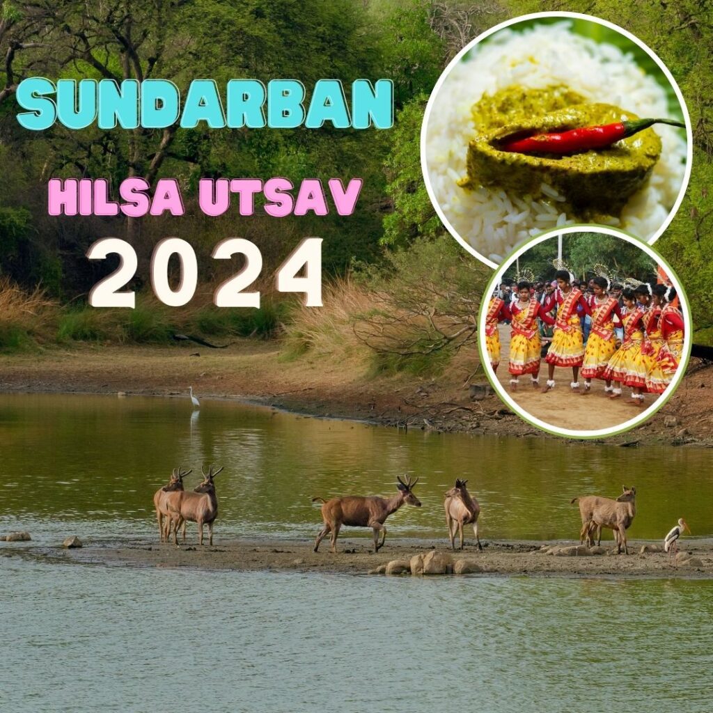 sundarban hilsa utsav 2024